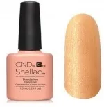 shellac shellac
