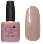 coat shellac