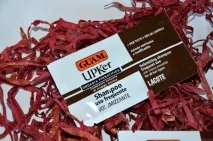 Шампуні та маска для волосся GUAM UPKer все, що вам потрібно знати ~ ROOF TALKS волосся