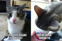 дълго време Няма отговоря
