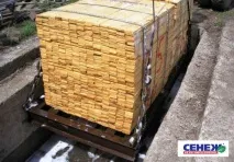 Сенеж - Типові помилки на ділянці антисептування - Поради фахівців - Крадо (Фарба Дома) - типові