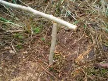 капани капани