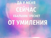 Цуценя німецької вівчарки навпіл з хаски навпіл