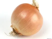 начина синузит