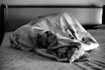 Спальня на півночі - запорука успіху в кар’єрі, Вітер та Вода півночі