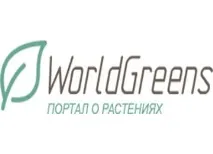 Сонячні опіки кімнатних рослин ~ кімнатних