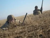 Скрадок для полювання на гусака поради гусака