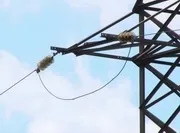 потвърди съдът