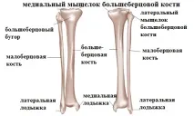 функцията функцията