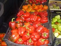 Середньостиглі сорти перців з фото та описом сорти