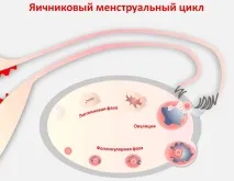 резултата резултата