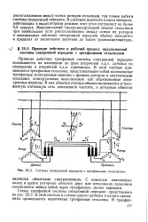 Трифазна лінія - передача - Велика Енциклопедія Нафти та Газа лінія