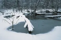 най-добри