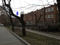 минен минен