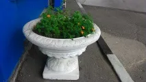 улични саксии