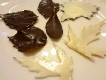 шоколадови шоколадови