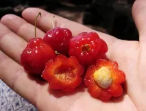 удивителни малко хора