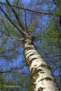 Уроки моделювання уроки