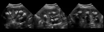 diagnostic