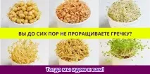 ВИ ДО СИХ ПІР НЕ ПРОРОЩУЄТЕ ГРІЧКУ, Корисні поради пророщуєте