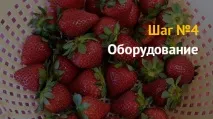 Вирощування полуниці як бізнес вирощування