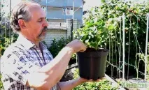 отглеждане малки
