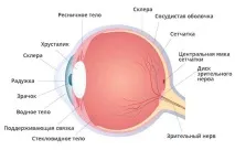 отлепване