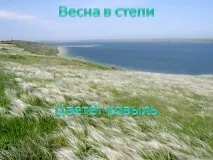 презентация презентация