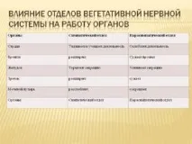 нервна система автономна