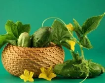 краставици изкуството