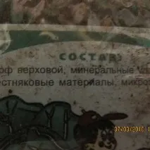 форум
