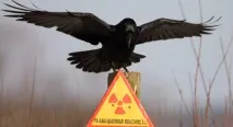 Все, що ви повинні знати про радіацію радіацію