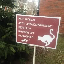 лечебното заведение болница