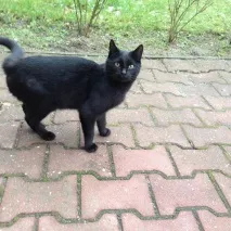болница беше