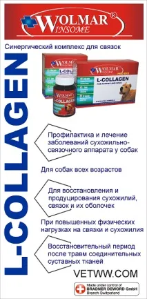 Вітаміни для лабрадору вітаміни