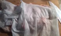 сладко-кисела крилца