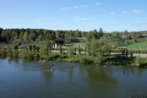 дані