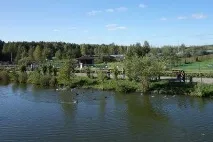 сафарі