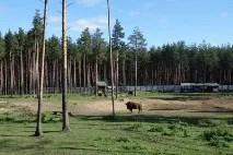 дані