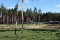 його