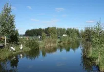 дані