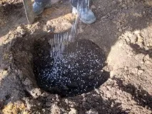 Хлористий калій добрива