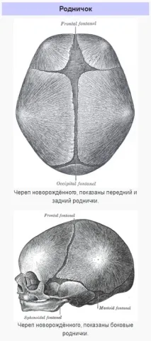 навіщо