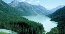 Знамениті люди Алтайського краю історії життя знамениті