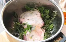 фолио телешко