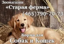 защитни защитни