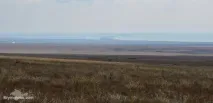 Вітряки недалеко від Оленівки вітряки