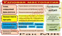 вузлова