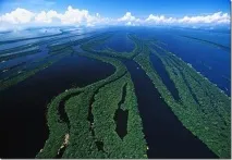 Велика річка Амазонка амазонка