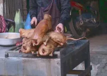 клеев ориз клеев ориз